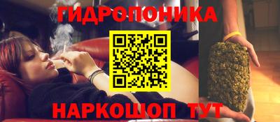 спайс Малгобек