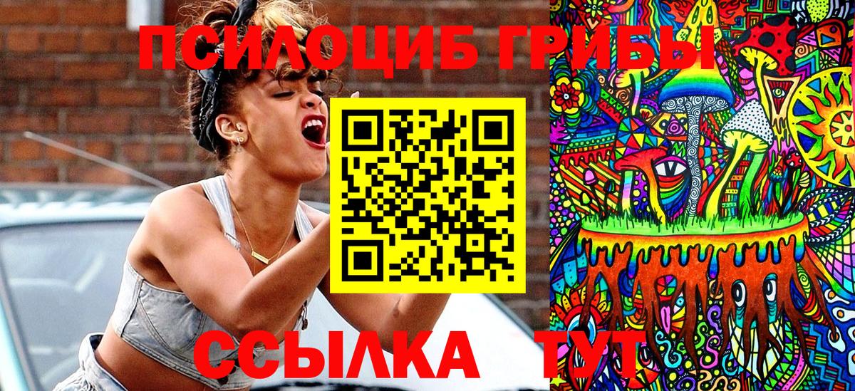 Псилоцибиновые грибы мицелий Ижевск